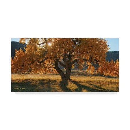 Trademark Fine Art Amanda Smith 'Boxelders Autumn Tree' Canvas Art, 10x19 ALI37846-C1019GG